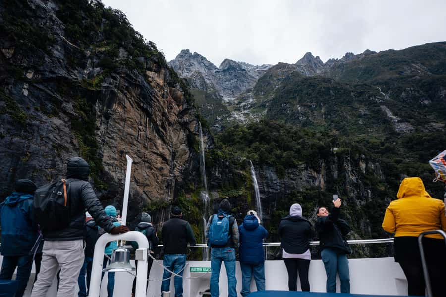 Milford Sound: Waterfalls, Wildlife, and Rainforest Cruise - Who will enjoy this Milford Sound cruise most