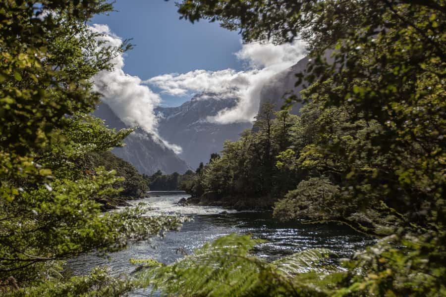 Milford Track: Full Day Guided Hike and Nature Cruise - Key points to know before booking
