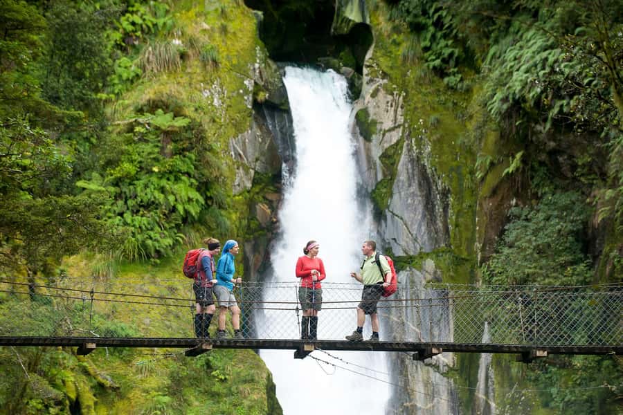 Milford Track: Full Day Guided Hike and Nature Cruise - Why this Milford Sound day works so well