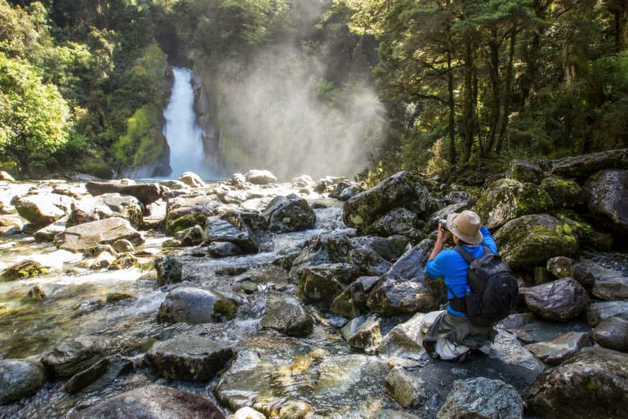 Milford Track: Full Day Guided Hike and Nature Cruise - Walking the Milford Track through rainforest