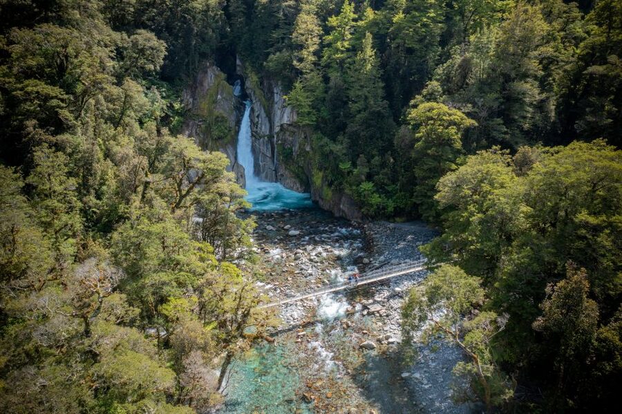 Milford Track: Full Day Guided Hike and Nature Cruise - Who should book this experience
