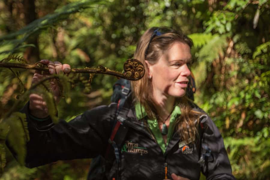 Milford Track: Full Day Guided Hike and Nature Cruise - The early arrival at Milford Sound