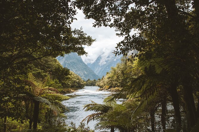 Milford Track Multi-Night Hike - Water Taxi Transport - Boat comfort, timing, and group size