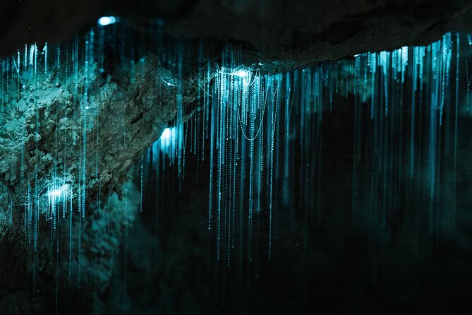 Milky Way Glowworm Cave Tour - Why the Milky Way effect is the main event