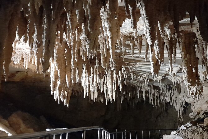 Milky Way Glowworm Cave Tour - How the tour suits families
