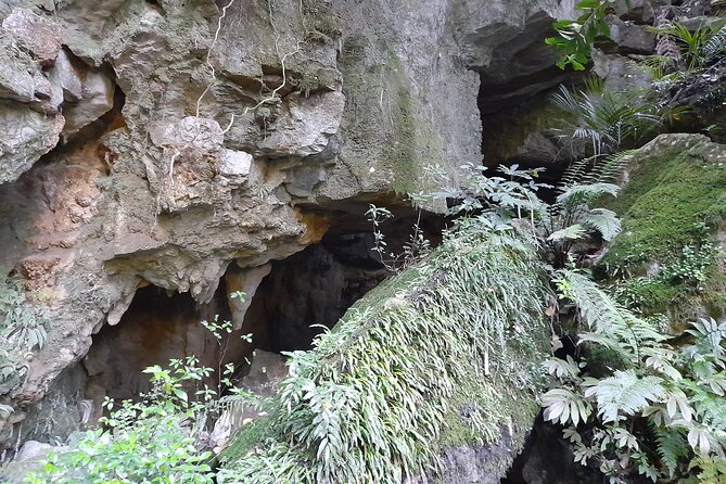 Milky Way Glowworm Cave Tour - Timing, weather, and planning your visit
