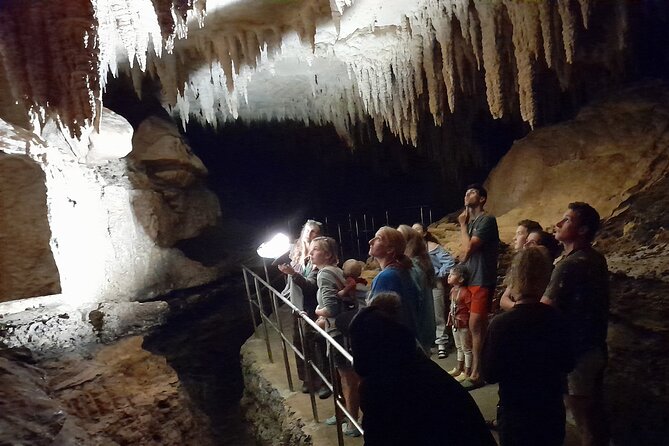 Milky Way Glowworm Cave Tour - What the guide adds