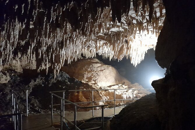 Milky Way Glowworm Cave Tour - Who should book this experience?
