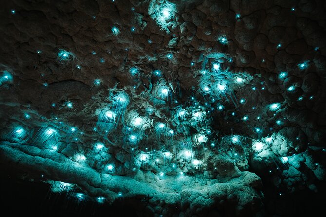 Milky Way Glowworm Cave Tour - Walking the 300 metres to the cave