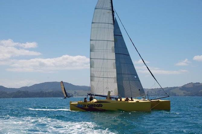 Morning Glory Chilled out Sail (3.5hrs) - Is the $89.98 price good value?