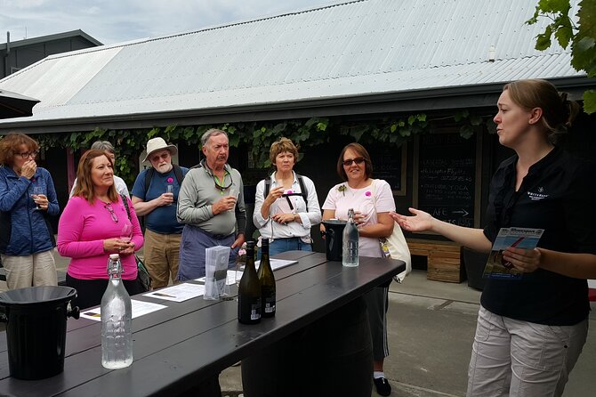 Morning Guided with Afternoon Self-Guided Biking Wine Tour - Flat roads and a useful pace for most riders