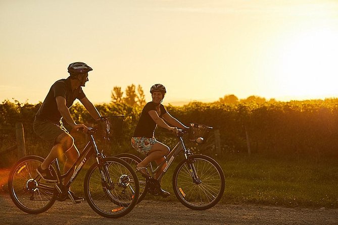 Morning Guided with Afternoon Self-Guided Biking Wine Tour - Who should book this Marlborough tour?