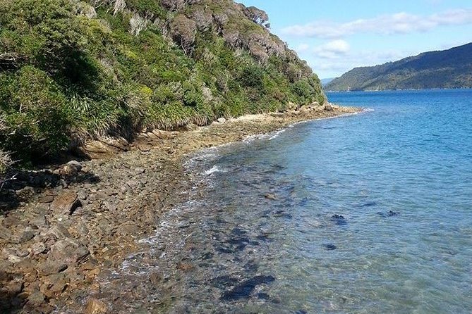 Motuara Island Bird Sanctuary and Ship Cove Cruise from Picton - Ship Cove and Captain Cook’s anchorage