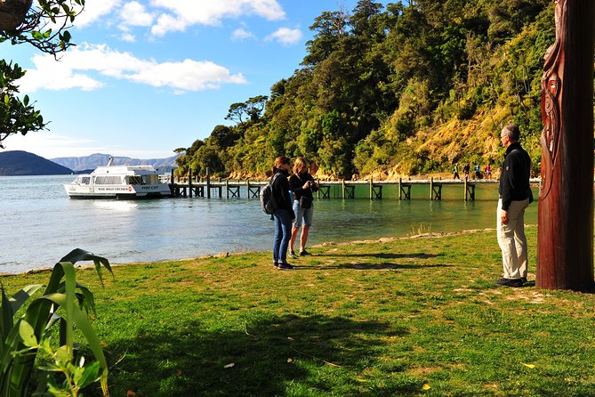 Motuara Island Bird Sanctuary and Ship Cove Cruise from Picton - Who should book this morning cruise?