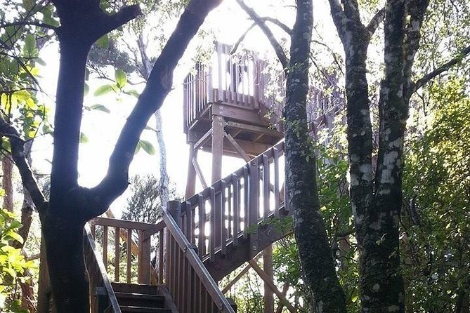 Motuara Island Bird Sanctuary and Ship Cove Cruise from Picton - Cruising the Queen Charlotte Sound