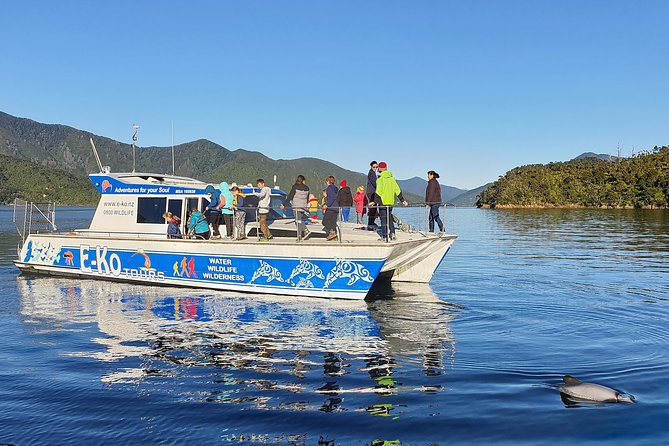 Motuara Wildlife Sanctuary Tour and Dolphin Cruise from Picton - Guides who turn a boat ride into a nature lesson