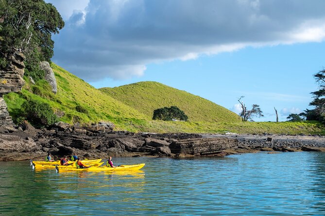 Motukorea / Browns Island Sea Kayak Journey - Why Motukorea is worth the paddle from Auckland