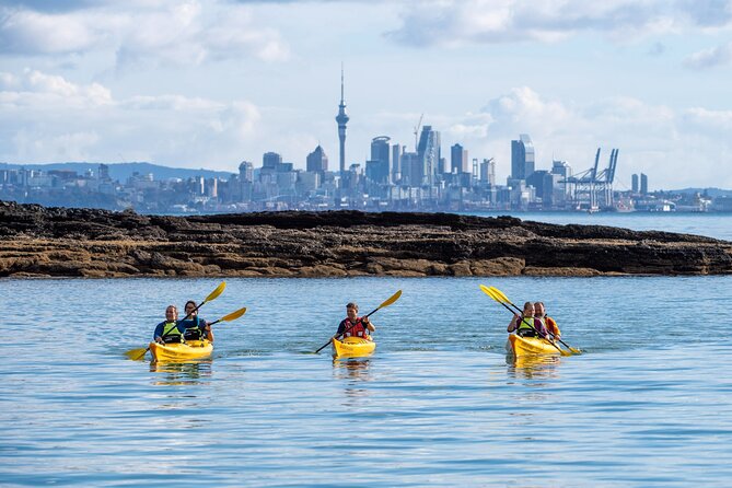 Motukorea / Browns Island Sea Kayak Journey - What the $121.01 price includes