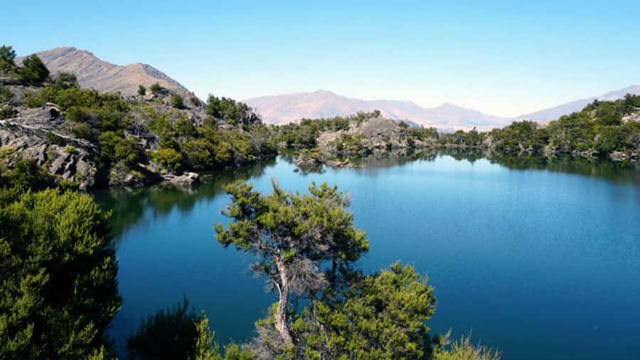Mou Waho Island: 3-Hour Cruise and Guided Nature Walk - The lookout rock and the big payoff