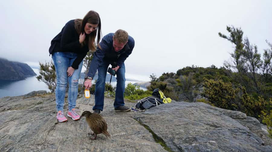 Mou Waho Island: 3-Hour Cruise and Guided Nature Walk - Meeting the boat beside Wanaka’s lakefront