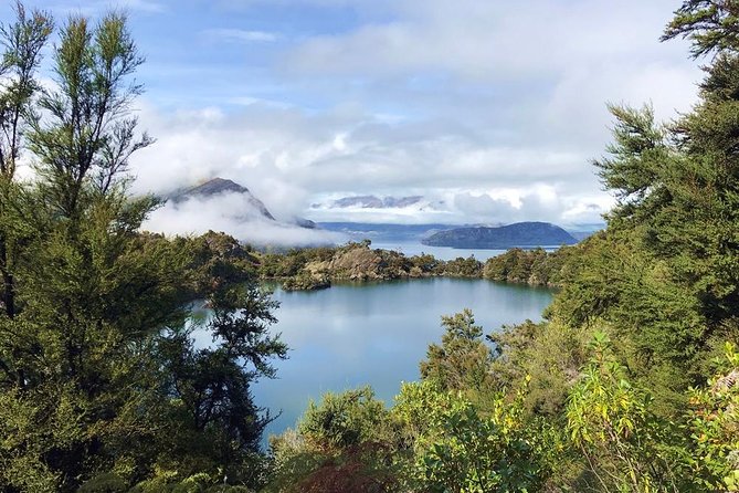 Mou Waho Island Cruise and Guided Nature Walk - Who will enjoy this morning most