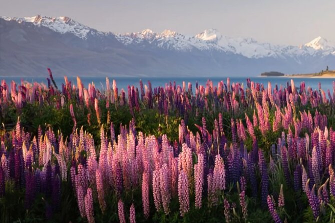 Mount Cook & Lake Tekapo Day Trip from Christchurch - Lake Pukaki offers a stronger Mount Cook connection
