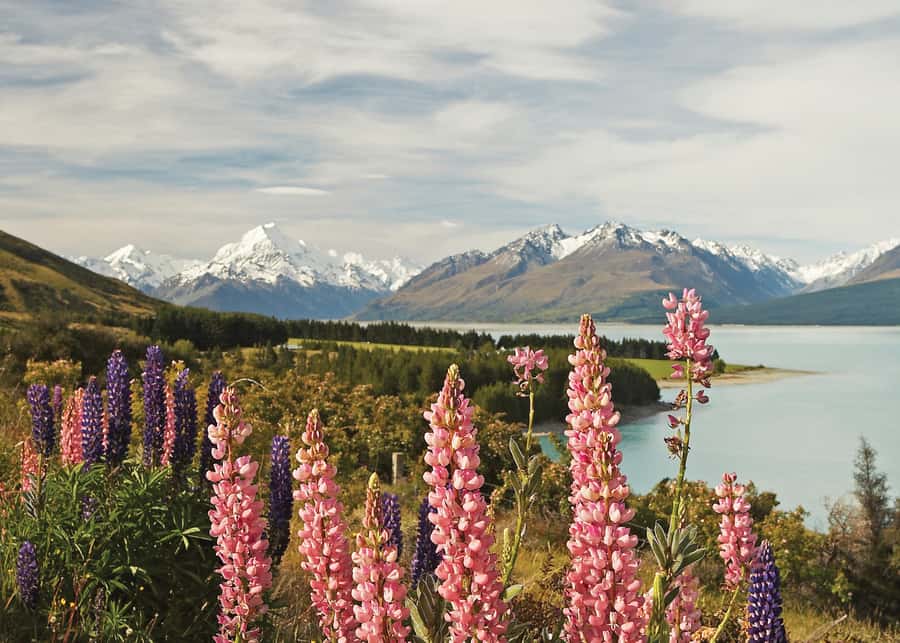 Mt. Cook Day-Tour: Christchurch to Queenstown - First views of Mackenzie Country