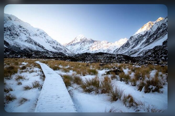 Mt. Cook Full Day Private Tour via Tekapo from Christchurch - Is $837.77 good value for four?