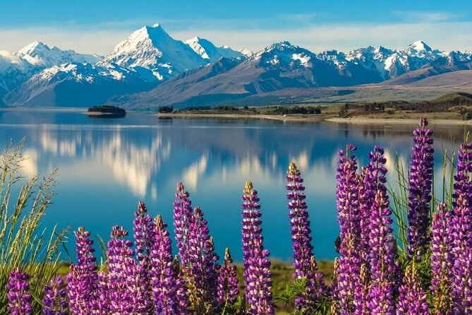 Mt. Cook Private Day Trip From Queenstown with Lake Tekapo - Why this Queenstown to Mount Cook day is worth considering