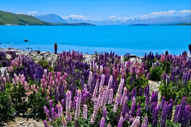 Mt. Cook Private Day Trip From Queenstown with Lake Tekapo - Lake Pukaki offers the classic turquoise view
