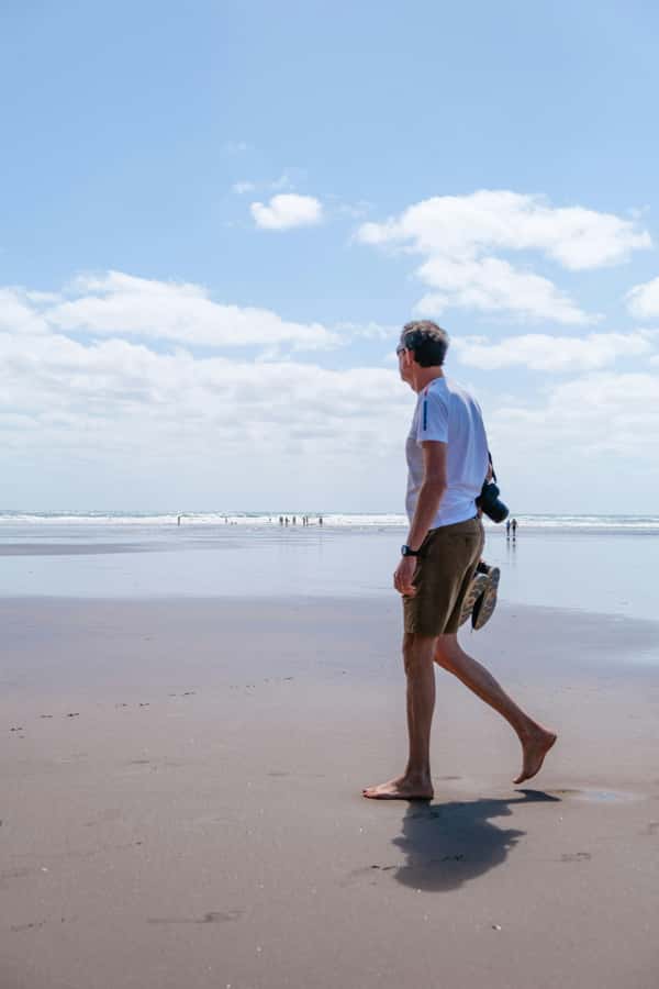 Mt. Eden, Piha Beach & Karekare Waterfalls - PRIVATE TOUR - Why this private west coast day works