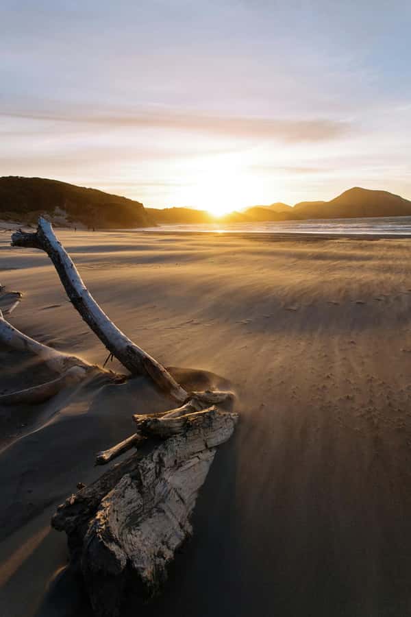 Mt. Eden, Piha Beach & Karekare Waterfalls - PRIVATE TOUR - Mt. Eden begins the day above Auckland