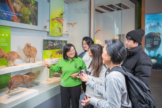 Museum of New Zealand Te Papa Tongarewa: Introducing Te Papa Tour - Why a One-Hour Introduction Helps at Te Papa