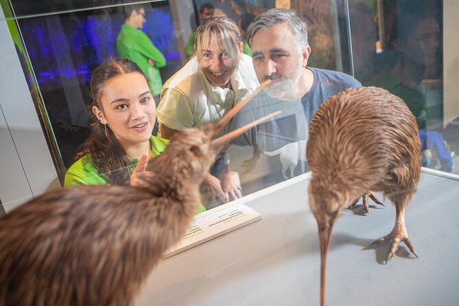Museum of NZ Te Papa Tongarewa: International Visitor Entry - Why Te Papa deserves a place in your Wellington plans