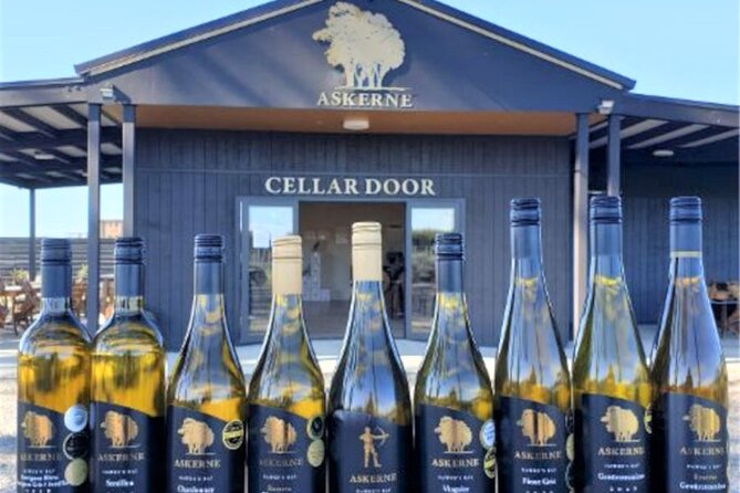 Napier: Afternoon Wine Tasting + visit Silky Oaks Chocolates - Trinity Hill with a cheese board