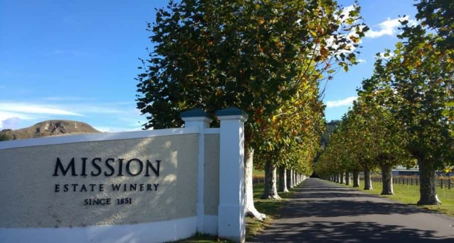 Napier: Afternoon Winery & Gin Tasting Tour Thu Fri Sat - A Four and a Half Hour Taste of Hawke’s Bay