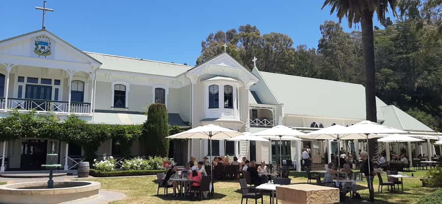 Napier: Afternoon Winery & Gin Tasting Tour Thu Fri Sat - Askerne Estate and the Cheese Board