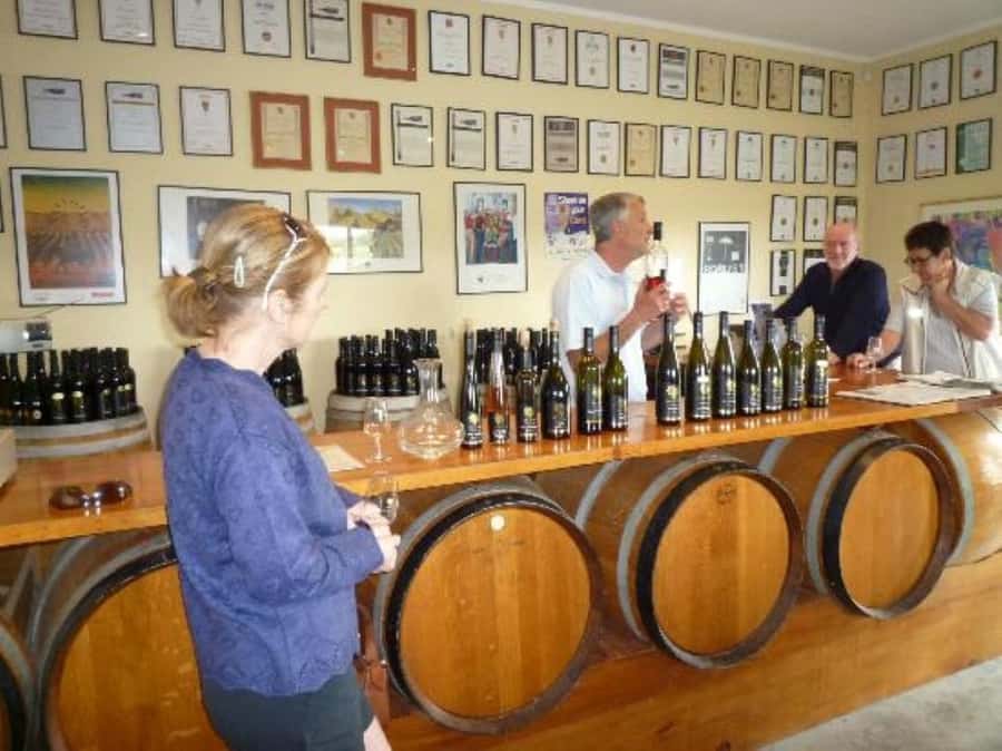Napier: Afternoon Winery & Gin Tasting Tour Thu Fri Sat - Why the Guide Matters