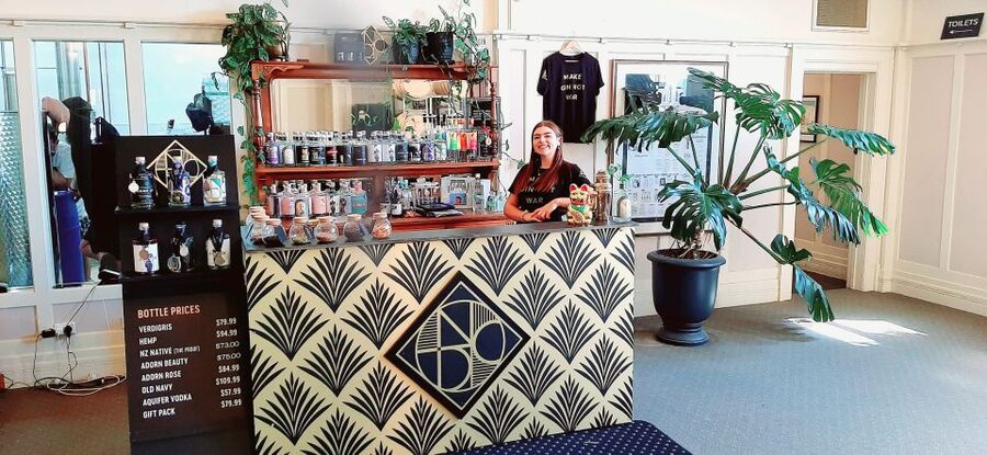 Napier: Afternoon Winery & Gin Tasting Tour Thu Fri Sat - The Route Can Change