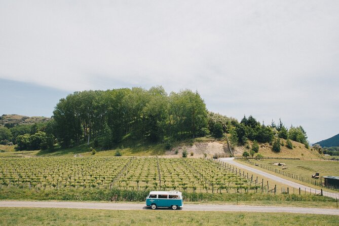 Napier and Hawkes Bay Scenic and Art Deco Tour by VW Kombi - Fresh fruit and a real fruit ice cream stop