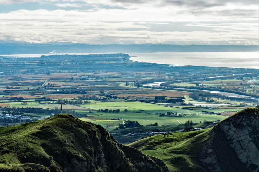 Napier: Art-Deco + Te Mata Peak+ Garden Walk + Wine Tasting - Who should book this experience