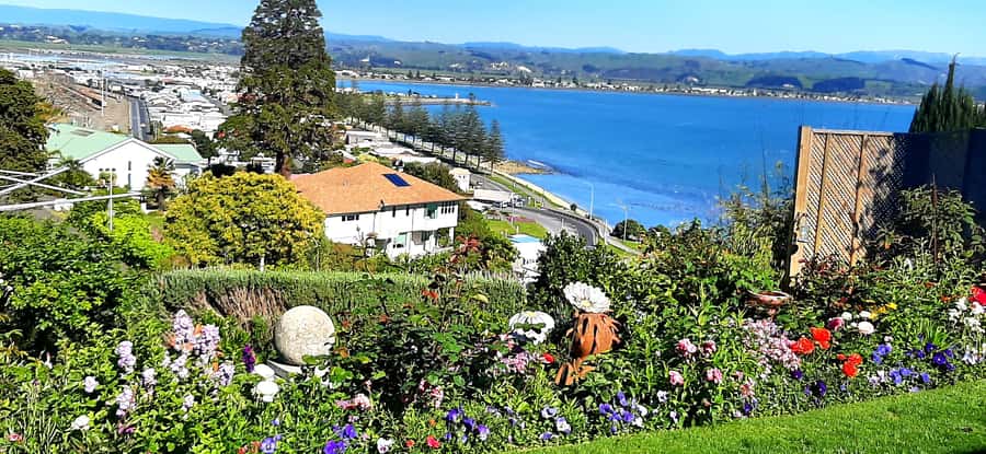 Napier: Art-Deco + Te Mata Peak+ Garden Walk + Wine Tasting - Te Mata Peak gives the tour its big view