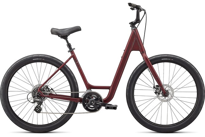 Napier Bike Hire - Key points at a glance