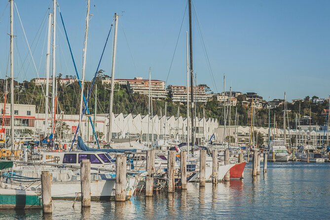 Napier Bike Hire - What the equipment means for your day