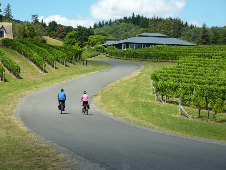 Napier: Cape Coast Winery Tour on Pedal or E-Bikes - A six-hour ride through Hawke’s Bay wine country