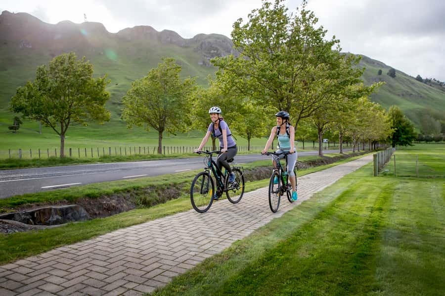 Napier: Cape Coast Winery Tour on Pedal or E-Bikes - Clearview Estate and Elephant Hill set the tone