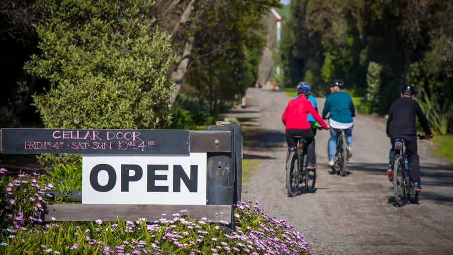 Napier: Cape Coast Winery Tour on Pedal or E-Bikes - Black Barn is the final stop
