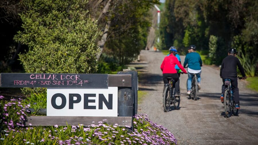 Napier: Cape Coast Winery Tour on Pedal or E-Bikes - What the $67 price really covers