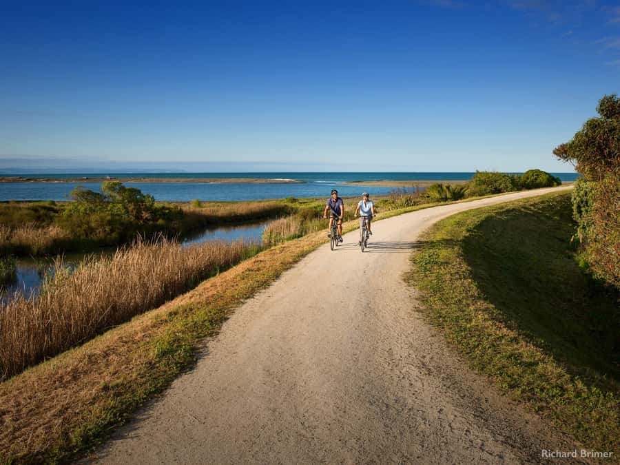 Napier: Cape Coast Winery Tour on Pedal or E-Bikes - Starting beside the Cape Kidnappers coast