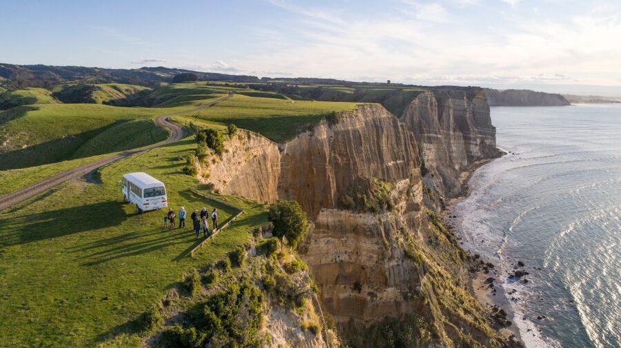 Napier: Cape Kidnappers Gannet, Nature & Sightseeing Tour - Booking details that matter